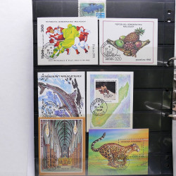 Lot massif de timbres de pays d'expression Française neufs et oblitérés en 2 albums.