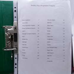 Lot massif de timbres de pays d'expression Française neufs et oblitérés en 2 albums.