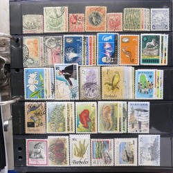 Lot massif de timbres d'Amérique du sud et centrale neufs et oblitérés en un album.