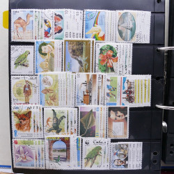 Lot massif de timbres d'Amérique du sud et centrale neufs et oblitérés en un album.