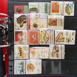 Lot massif de timbres d'Amérique et Afrique neufs et oblitérés en album.