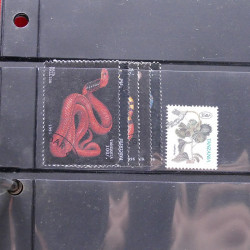 Lot massif de timbres d'Amérique et Afrique neufs et oblitérés en album.