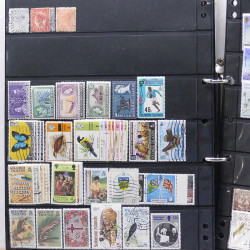 Lot de timbres des pays d'Océanie neufs et oblitérés en album.