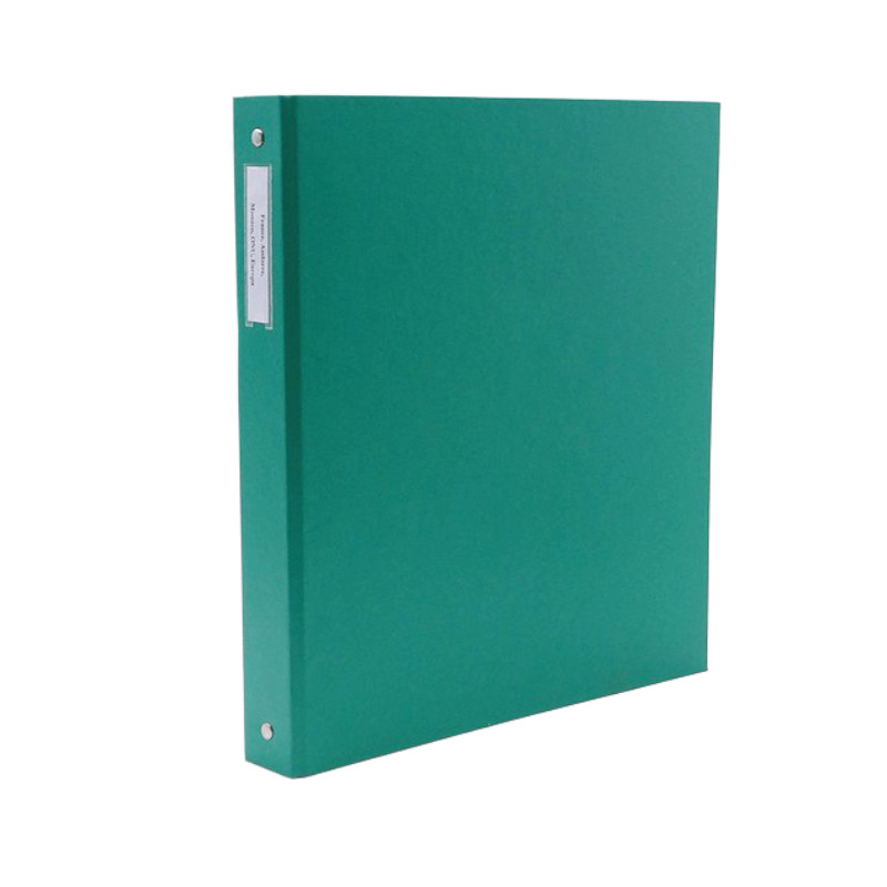 Lot de timbres de France - Monaco - Andorre - Europa neufs et oblitérés en un album.