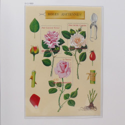 Collection timbres de France 1999-2003 neufs** en album DAVO.