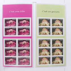 Collection timbres de France 2004-2007 neufs** en album DAVO.