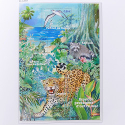 Collection timbres de France 2004-2007 neufs** en album DAVO.