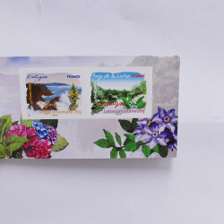 Collection timbres de France 2008-2009 neufs** en album DAVO.