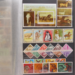 Lot de timbres d'Afrique neufs et oblitérés en un album.