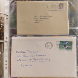 Vrac philatélique de timbres du monde neufs et oblitérés en un carton.