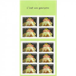 Carnet de 10 timbres naissances - C'est un garçon.