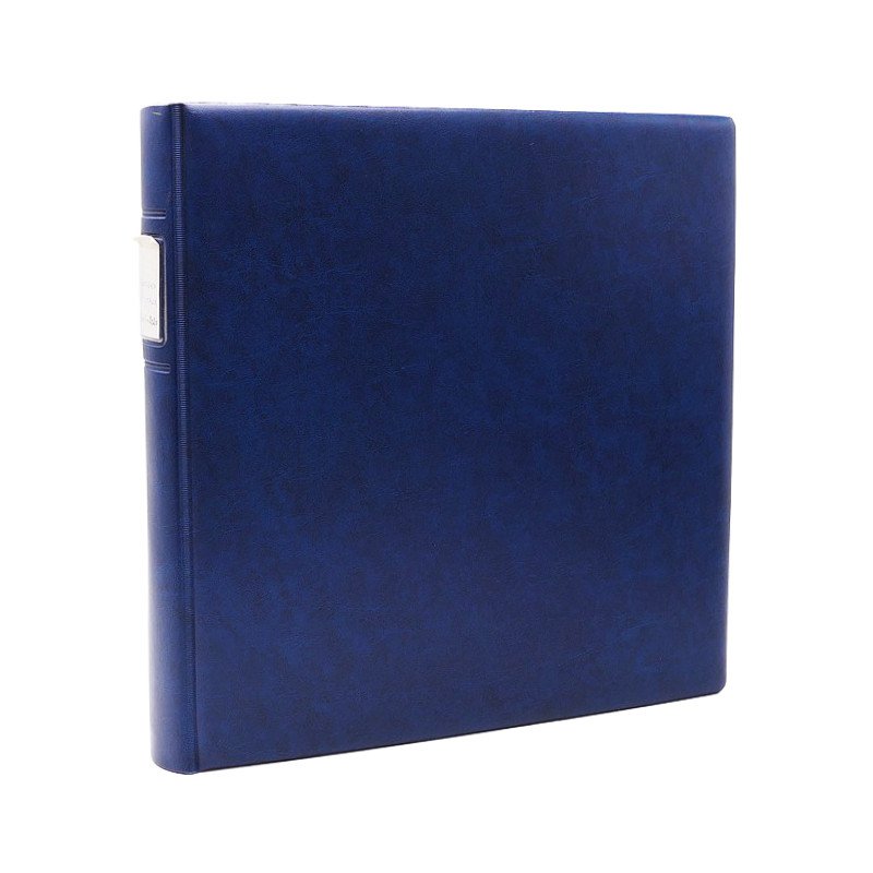 Collection entiers postaux de France 2008-2019 en album Lindner.