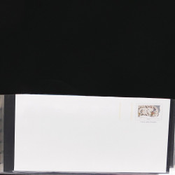 Collection entiers postaux de France 2008-2019 en album Lindner.