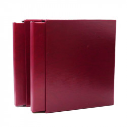 Collection documents premier jour lux soie Musée imaginaire de France en 2 albums Safe.