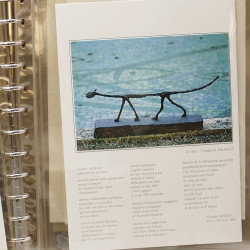 Collection documents premier jour lux soie Musée imaginaire de France en 2 albums Safe.