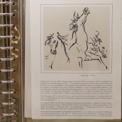 Collection documents premier jour lux soie Musée imaginaire de France en 2 albums Safe.