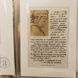 Collection documents premier jour lux soie Musée imaginaire de France en 2 albums Safe.