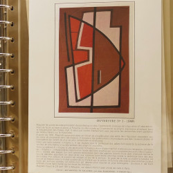 Collection documents premier jour lux soie Musée imaginaire de France en 2 albums Safe.