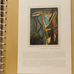 Collection documents premier jour lux soie Musée imaginaire de France en 2 albums Safe.