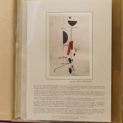 Collection documents premier jour lux soie Musée imaginaire de France en 2 albums Safe.