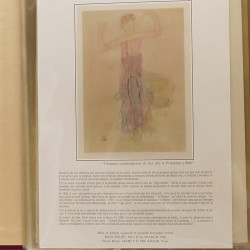 Collection documents premier jour lux soie Musée imaginaire de France en 2 albums Safe.