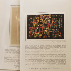 Collection documents premier jour lux soie Musée imaginaire de France en 2 albums Safe.