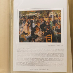 Collection documents premier jour lux soie Musée imaginaire de France en 2 albums Safe.