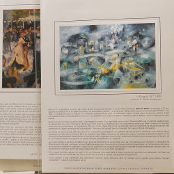 Collection documents premier jour lux soie Musée imaginaire de France en 2 albums Safe.