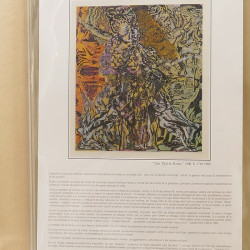 Collection documents premier jour lux soie Musée imaginaire de France en 2 albums Safe.