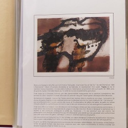 Collection documents premier jour lux soie Musée imaginaire de France en 2 albums Safe.