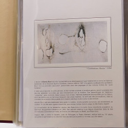 Collection documents premier jour lux soie Musée imaginaire de France en 2 albums Safe.