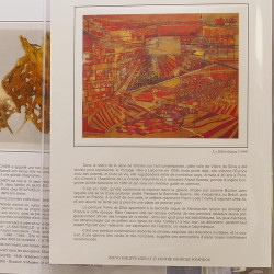 Collection documents premier jour lux soie Musée imaginaire de France en 2 albums Safe.