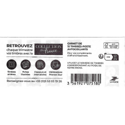 Carnet de 12 timbres Marianne de Balez N°2529-C1.