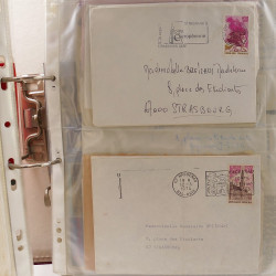 Vrac massif de timbres du monde neufs et oblitérés en un carton.