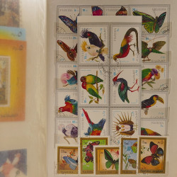 Vrac massif de timbres du monde neufs et oblitérés en un carton.