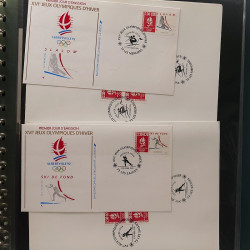 Lot d'entiers postaux de France 1960-1991 en album Lindner.