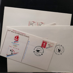 Lot d'entiers postaux de France 1960-1991 en album Lindner.