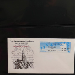 Collection Marcophilie Flammes de Strasbourg 1934-2000 en 2 albums.