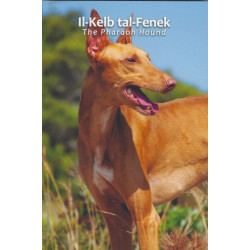 2 euros commémorative Malte 2026 coffret BU - Le lévrier pharaon.