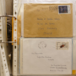 Gigantesque vrac d'histoire postale France et tous pays en un carton.