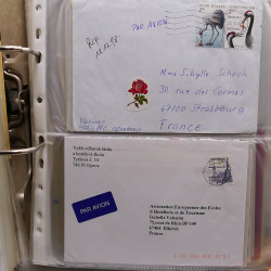 Gigantesque vrac d'histoire postale France et tous pays en un carton.