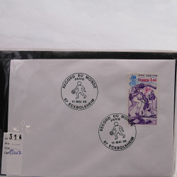 Gigantesque vrac d'histoire postale France et tous pays en un carton.