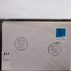 Gigantesque vrac d'histoire postale France et tous pays en un carton.