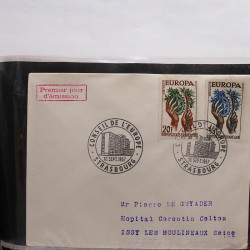 Gigantesque vrac d'histoire postale France et tous pays en un carton.