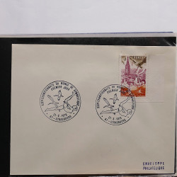 Gigantesque vrac d'histoire postale France et tous pays en un carton.