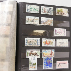 Lot de timbres de Cameroun Français neufs et oblitérés en deux albums.
