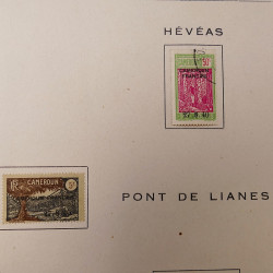 Lot de timbres de Cameroun Français neufs et oblitérés en deux albums.
