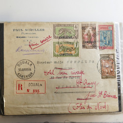 Lot de lettres, entiers postaux de colonies françaises et monde en un album.