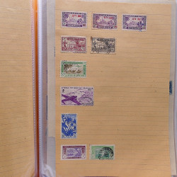 Lot de timbres d'anciennes colonies françaises neufs et oblitérés.