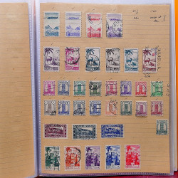 Lot de timbres d'anciennes colonies françaises neufs et oblitérés.